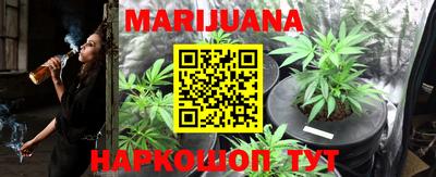 ECSTASY Новодвинск