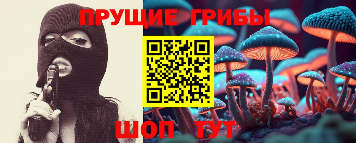 Псилоцибиновые грибы мухоморы Светлоград